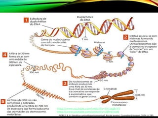 A
https://www.youtube.com/watch?v=YH1aqjBvYiY
https://www.youtube.com/watch?v=UBfInkTvqt8
 