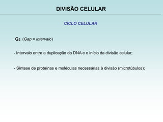 DIVISÃO CELULAR
CICLO CELULAR
G2
- Intervalo entre a duplicação do DNA e o início da divisão celular;
- Síntese de proteínas e moléculas necessárias à divisão (microtúbulos);
(Gap = intervalo)
 