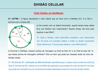 DIVISÃO CELULAR
Ciclo Celular no Vestibular
01. (UFTM) – A figura representa o ciclo celular que se inicia com a intérfase (G1, S e G2) e
termina com a mitose (M).
a) De acordo com os dados fornecidos, quanto tempo essa célula
leva pra finalizar seu crescimento? Quanto tempo ela leva para
duplicar o seu DNA?
R.: Após a divisão, cada célula-filha completa o seu crescimento
em 23 horas (no exemplo citado) e então se divide novamente.
Essa célula leva 11 horas para duplicar o seu DNA (fase 5).
b) Durante a intérfase, existem pontos de checagem ao final da fase G1 e ao final da fase G2. O
que esses pontos de checagem verificam? Cite um item que pode ser checado antes do início da
divisão celular
R.: No final de G1: verificação de DNA danificado, permitindo que o reparo ocorra antes do início da
fase S; No final de G2: verifica-se se há DNA não replicado e prevenção do início da fase M. Um item
que pode ser checado é se os cromossomos estão duplicados antes do início da divisão celular.
 