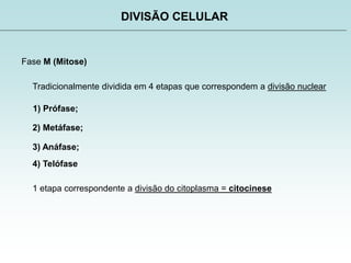 DIVISÃO CELULAR
Fase M (Mitose)
Tradicionalmente dividida em 4 etapas que correspondem a divisão nuclear
1) Prófase;
2) Metáfase;
3) Anáfase;
4) Telófase
1 etapa correspondente a divisão do citoplasma = citocinese
 
