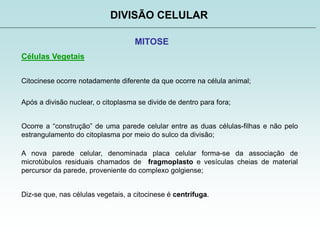 DIVISÃO CELULAR
MITOSE
Células Vegetais
Citocinese ocorre notadamente diferente da que ocorre na célula animal;
Após a divisão nuclear, o citoplasma se divide de dentro para fora;
Ocorre a “construção” de uma parede celular entre as duas células-filhas e não pelo
estrangulamento do citoplasma por meio do sulco da divisão;
Diz-se que, nas células vegetais, a citocinese é centrífuga.
A nova parede celular, denominada placa celular forma-se da associação de
microtúbulos residuais chamados de fragmoplasto e vesículas cheias de material
percursor da parede, proveniente do complexo golgiense;
 