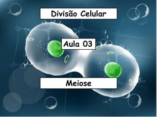 Divisão Celular
Aula 03
Meiose
 