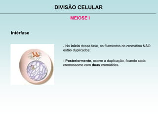 MEIOSE I
DIVISÃO CELULAR
Intérfase
- No início dessa fase, os filamentos de cromatina NÃO
estão duplicados;
- Posteriormente, ocorre a duplicação, ficando cada
cromossomo com duas cromátides.
 