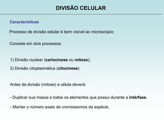 DIVISÃO CELULAR
Características
Processo de divisão celular é bem visível ao microscópio;
Consiste em dois processos:
1) Divisão nuclear (cariocinese ou mitose);
2) Divisão citoplasmática (citocinese)
Antes da divisão (mitose) a célula deverá:
- Duplicar sua massa e todos os elementos que possui durante a intérfase.
- Manter o número exato de cromossomos da espécie.
 