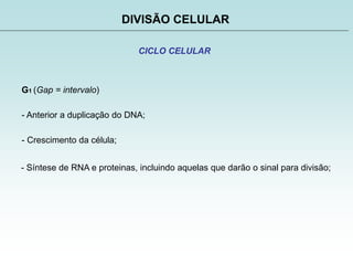 DIVISÃO CELULAR
CICLO CELULAR
G1 (Gap = intervalo)
- Anterior a duplicação do DNA;
- Crescimento da célula;
- Síntese de RNA e proteinas, incluindo aquelas que darão o sinal para divisão;
 