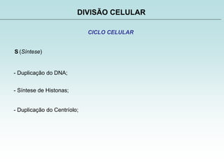 S (Síntese)
DIVISÃO CELULAR
CICLO CELULAR
- Duplicação do DNA;
- Síntese de Histonas;
- Duplicação do Centríolo;
 