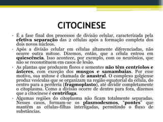 CITOCINESE
• É a fase final dos processos de divisão celular, caracterizada pela
efetiva separação das 2 células após a formação completa dos
dois novos núcleos.
• Após a divisão celular em células altamente diferenciadas, não
ocorre outra mitose. Dizemos, então, que a célula entrou em
quiescência. Isso acontece, por exemplo, com os neurônios, que
não se reconstituem em casos de lesão.
• As plantas que produzem flores e sementes não têm centríolos e
ásteres, com exceção dos musgos e samambaias. Por esse
motivo, sua mitose é chamada de anastral. O complexo golgiense
produz vesículas que se organizam na região equatorial da célula, do
centro para a periferia (fragmoplasto), até dividir completamente
o citoplasma. Como a divisão ocorre de dentro para fora, dizemos
que a citocinese é centrífuga.
• Algumas regiões do citoplasma não ficam totalmente separadas.
Nesses casos, formam-se os plasmodesmos, “pontes” que
mantêm as células-filhas interligadas, permitindo o fluxo de
substâncias.
 