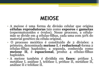 MEIOSE
• A meiose é uma forma de divisão celular que origina
células reprodutoras tais como esporos e gametas
(espermatozoides e óvulos). Nesse processo, a célula-
mãe se divide em 4 células-filhas, cada uma com 50% do
material genético da célula original.
• O processo meiótico é constituído de 2 divisões: a
primeira, denominada meiose I, é reducional-forma 2
células-filhas haploides; a segunda, conhecida como
meiose II, é equacional, produz 4 células-filhas
haploides.
• A meiose também é dividida em fases: prófase I,
metáfase I, anáfase I, telófase I, prófase II, metáfase II,
anáfase II e telófase II.
 