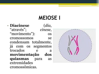 MEIOSE I
• Diacinese (dia,
“através”; cinese,
“movimento”): os
cromossomos se
condensam totalmente,
já com os segmentos
trocados e a
movimentação dos
quiasmas para as
extremidades
cromossômicas.
 