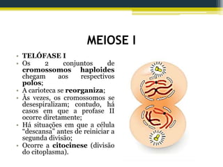 MEIOSE I
• TELÓFASE I
• Os 2 conjuntos de
cromossomos haploides
chegam aos respectivos
polos;
• A carioteca se reorganiza;
• Às vezes, os cromossomos se
desespiralizam; contudo, há
casos em que a profase II
ocorre diretamente;
• Há situações em que a célula
“descansa” antes de reiniciar a
segunda divisão;
• Ocorre a citocinese (divisão
do citoplasma).
 