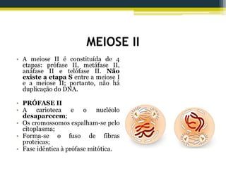 MEIOSE II
• A meiose II é constituída de 4
etapas: prófase II, metáfase II,
anáfase II e telófase II. Não
existe a etapa S entre a meiose I
e a meiose II; portanto, não há
duplicação do DNA.
• PRÓFASE II
• A carioteca e o nucléolo
desaparecem;
• Os cromossomos espalham-se pelo
citoplasma;
• Forma-se o fuso de fibras
proteicas;
• Fase idêntica à prófase mitótica.
 