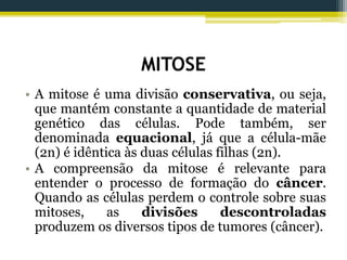 MITOSE
• A mitose é uma divisão conservativa, ou seja,
que mantém constante a quantidade de material
genético das células. Pode também, ser
denominada equacional, já que a célula-mãe
(2n) é idêntica às duas células filhas (2n).
• A compreensão da mitose é relevante para
entender o processo de formação do câncer.
Quando as células perdem o controle sobre suas
mitoses, as divisões descontroladas
produzem os diversos tipos de tumores (câncer).
 