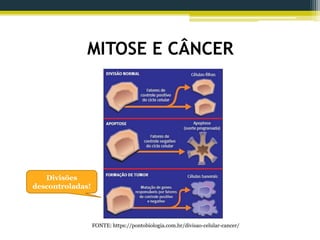 MITOSE E CÂNCER
FONTE: https://pontobiologia.com.br/divisao-celular-cancer/
Divisões
descontroladas!
 