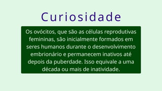 Os ovócitos, que são as células reprodutivas
femininas, são inicialmente formados em
seres humanos durante o desenvolvimento
embrionário e permanecem inativos até
depois da puberdade. Isso equivale a uma
década ou mais de inatividade.
Curiosidade
 