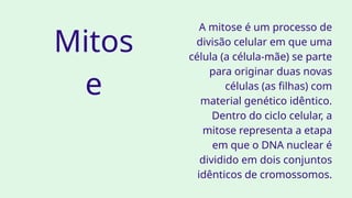 A mitose é um processo de
divisão celular em que uma
célula (a célula-mãe) se parte
para originar duas novas
células (as filhas) com
material genético idêntico.
Dentro do ciclo celular, a
mitose representa a etapa
em que o DNA nuclear é
dividido em dois conjuntos
idênticos de cromossomos.
Mitos
e
 