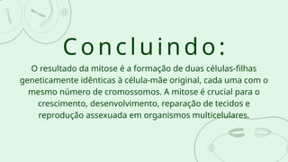 Concluindo:
O resultado da mitose é a formação de duas células-filhas
geneticamente idênticas à célula-mãe original, cada uma com o
mesmo número de cromossomos. A mitose é crucial para o
crescimento, desenvolvimento, reparação de tecidos e
reprodução assexuada em organismos multicelulares.
 