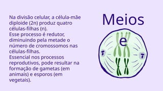 Na divisão celular, a célula-mãe
diploide (2n) produz quatro
células-filhas (n).
Esse processo é redutor,
diminuindo pela metade o
número de cromossomos nas
células-filhas.
Essencial nos processos
reprodutivos, pode resultar na
formação de gametas (em
animais) e esporos (em
vegetais).
Meios
e
 