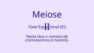 Meiose
II
Fase Equacional (E!)
Nesta fase o número de
cromossomos é mantido.
 