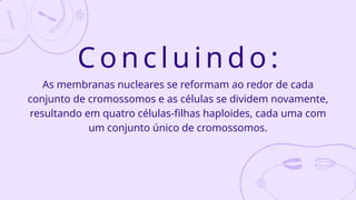 Concluindo:
As membranas nucleares se reformam ao redor de cada
conjunto de cromossomos e as células se dividem novamente,
resultando em quatro células-filhas haploides, cada uma com
um conjunto único de cromossomos.
 