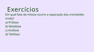 Exercícios
Em qual fase da mitose ocorre a separação das cromátides
irmãs?
a) Prófase
b) Metáfase
c) Anáfase
d) Telófase
 