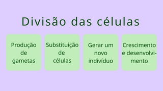 Divisão das células
Produção
de
gametas
Substituição
de
células
Gerar um
novo
indivíduo
Crescimento
e desenvolvi-
mento
 