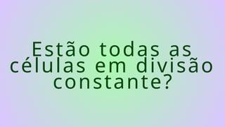 Estão todas as
células em divisão
constante?
 