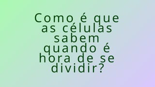 Como é que
as células
sabem
quando é
hora de se
dividir?
 