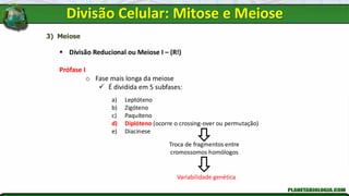3) Meiose
▪ Divisão Reducional ou Meiose I – (R!)
Prófase I
o Fase mais longa da meiose
✓ É dividida em 5 subfases:
a) Leptóteno
b) Zigóteno
c) Paquíteno
d) Diplóteno (ocorre o crossing-over ou permutação)
e) Diacinese
Troca de fragmentos entre
cromossomos homólogos
Variabilidade genética
Divisão Celular: Mitose e Meiose
 