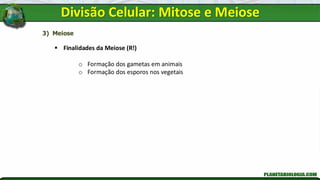 3) Meiose
▪ Finalidades da Meiose (R!)
o Formação dos gametas em animais
o Formação dos esporos nos vegetais
Divisão Celular: Mitose e Meiose
 