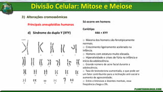 3) Alterações cromossômicas
Principais aneuploidias humanas
d) Síndrome do duplo Y (XYY)
Só ocorre em homens
Cariótipo
44A + XYY
o Maioria dos homens são fenotipicamente
normais.
o Crescimento ligeiramente acelerado na
Infância.
o Homens com estatura muito elevada.
o Hiperatividade e crises de fúria na infância e
início da adolescência.
o Grande número de acne facial durante a
adolescência;
o Taxa de testosterona aumentada, o que pode ser
um fator contribuinte para a inclinação anti-social e
aumento de agressividade;
o Entre criminosos e doentes mentais, essa
freqüência chega a 3%.
Divisão Celular: Mitose e Meiose
 