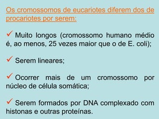 Os cromossomos de eucariotes diferem dos de
procariotes por serem:
✓ Muito longos (cromossomo humano médio
é, ao menos, 25 vezes maior que o de E. coli);
✓ Serem lineares;
✓ Ocorrer mais de um cromossomo por
núcleo de célula somática;
✓ Serem formados por DNA complexado com
histonas e outras proteínas.
 