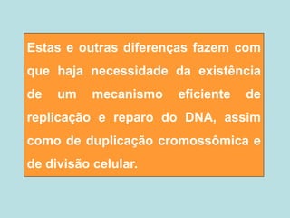 Estas e outras diferenças fazem com
que haja necessidade da existência
de um mecanismo eficiente de
replicação e reparo do DNA, assim
como de duplicação cromossômica e
de divisão celular.
 