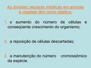 As divisões celulares mitóticas em animais
e vegetais têm como objetivo:
1. o aumento do número de células e
conseqüente crescimento do organismo;
2. a reposição de células descartadas;
3. a manutenção do número cromossômico
da espécie.
 