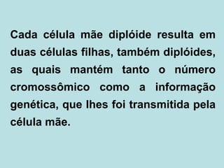 Cada célula mãe diplóide resulta em
duas células filhas, também diplóides,
as quais mantém tanto o número
cromossômico como a informação
genética, que lhes foi transmitida pela
célula mãe.
 