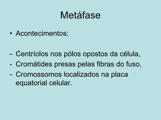 Metáfase
• Acontecimentos:
- Centríolos nos pólos opostos da célula,
- Cromátides presas pelas fibras do fuso,
- Cromossomos localizados na placa
equatorial celular.
 