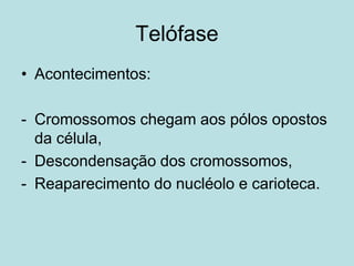 Telófase
• Acontecimentos:
- Cromossomos chegam aos pólos opostos
da célula,
- Descondensação dos cromossomos,
- Reaparecimento do nucléolo e carioteca.
 