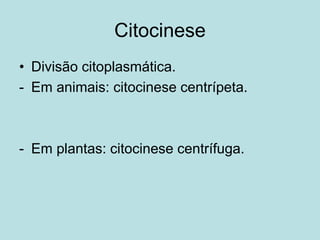 Citocinese
• Divisão citoplasmática.
- Em animais: citocinese centrípeta.
- Em plantas: citocinese centrífuga.
 