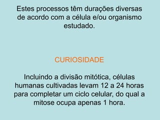 Estes processos têm durações diversas
de acordo com a célula e/ou organismo
estudado.
CURIOSIDADE
Incluindo a divisão mitótica, células
humanas cultivadas levam 12 a 24 horas
para completar um ciclo celular, do qual a
mitose ocupa apenas 1 hora.
 