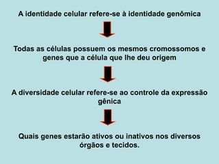 A identidade celular refere-se à identidade genômica
Todas as células possuem os mesmos cromossomos e
genes que a célula que lhe deu origem
A diversidade celular refere-se ao controle da expressão
gênica
Quais genes estarão ativos ou inativos nos diversos
órgãos e tecidos.
 