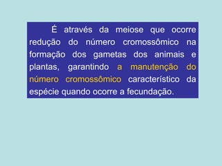 É através da meiose que ocorre
redução do número cromossômico na
formação dos gametas dos animais e
plantas, garantindo a manutenção do
número cromossômico característico da
espécie quando ocorre a fecundação.
 