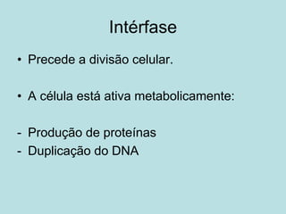 Intérfase
• Precede a divisão celular.
• A célula está ativa metabolicamente:
- Produção de proteínas
- Duplicação do DNA
 