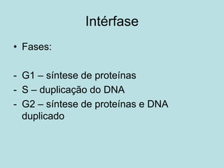 • Fases:
- G1 – síntese de proteínas
- S – duplicação do DNA
- G2 – síntese de proteínas e DNA
duplicado
Intérfase
 