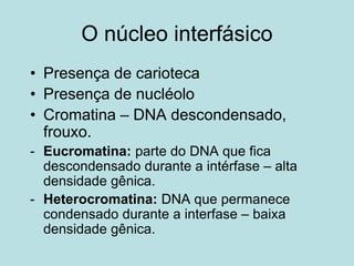 O núcleo interfásico
• Presença de carioteca
• Presença de nucléolo
• Cromatina – DNA descondensado,
frouxo.
- Eucromatina: parte do DNA que fica
descondensado durante a intérfase – alta
densidade gênica.
- Heterocromatina: DNA que permanece
condensado durante a interfase – baixa
densidade gênica.
 