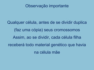 Observação importante
Qualquer célula, antes de se dividir duplica
(faz uma cópia) seus cromossomos
Assim, ao se dividir, cada célula filha
receberá todo material genético que havia
na célula mãe
 
