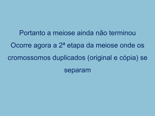 Portanto a meiose ainda não terminou
Ocorre agora a 2ª etapa da meiose onde os
cromossomos duplicados (original e cópia) se
separam
 