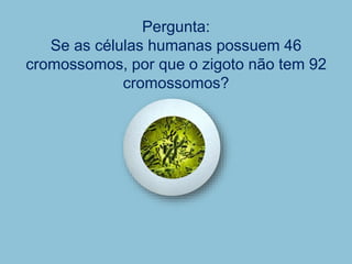 Pergunta:
Se as células humanas possuem 46
cromossomos, por que o zigoto não tem 92
cromossomos?
 