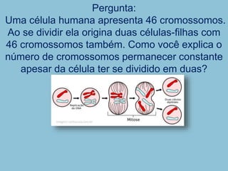 Pergunta:
Uma célula humana apresenta 46 cromossomos.
Ao se dividir ela origina duas células-filhas com
46 cromossomos também. Como você explica o
número de cromossomos permanecer constante
apesar da célula ter se dividido em duas?
 