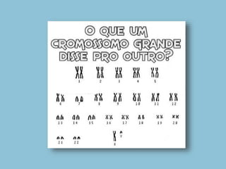 5. Divisão celular e determinação do sexo