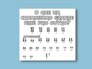 5. Divisão celular e determinação do sexo