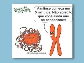 5. Divisão celular e determinação do sexo